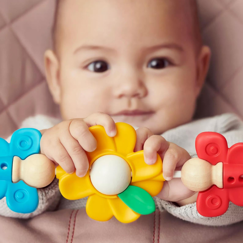 BabyBjorn Toy for Bouncer | Flying Friends