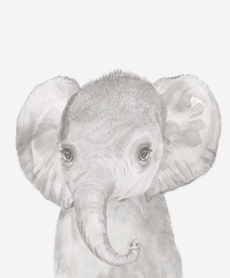 Mamas & Papas Welcome to the World Wall Art - Elephant