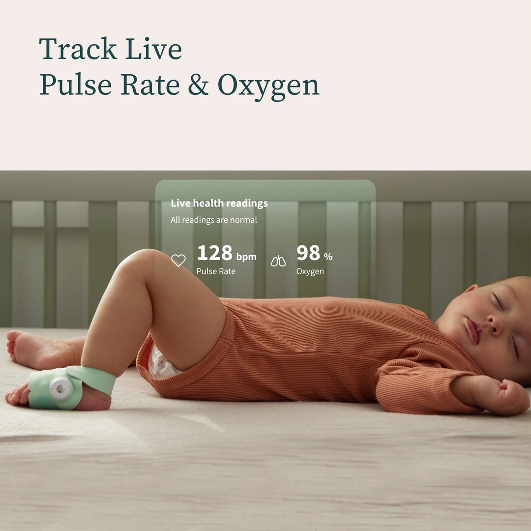 Owlet Dream Sock | Mint (2024)